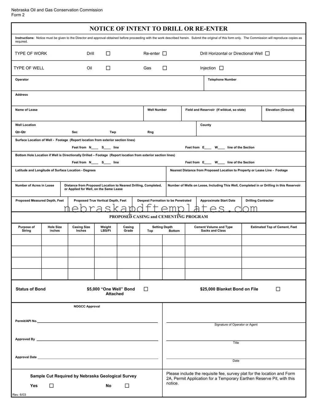 Blank Nebraska 2 PDF Template