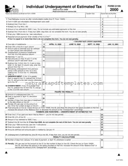 Blank Nebraska 2210N PDF Template